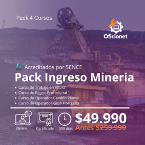 curso mineria online